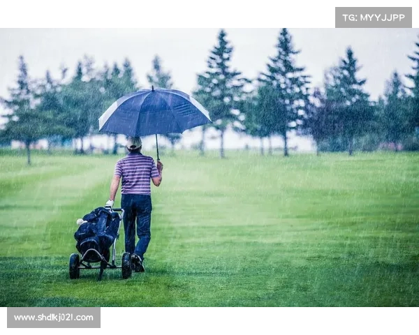雨天高尔夫的挑战与乐趣 如何在湿滑的球场上保持稳定表现