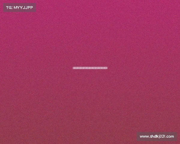 法甲球迷文化探析与球场氛围演变的历史与未来趋势